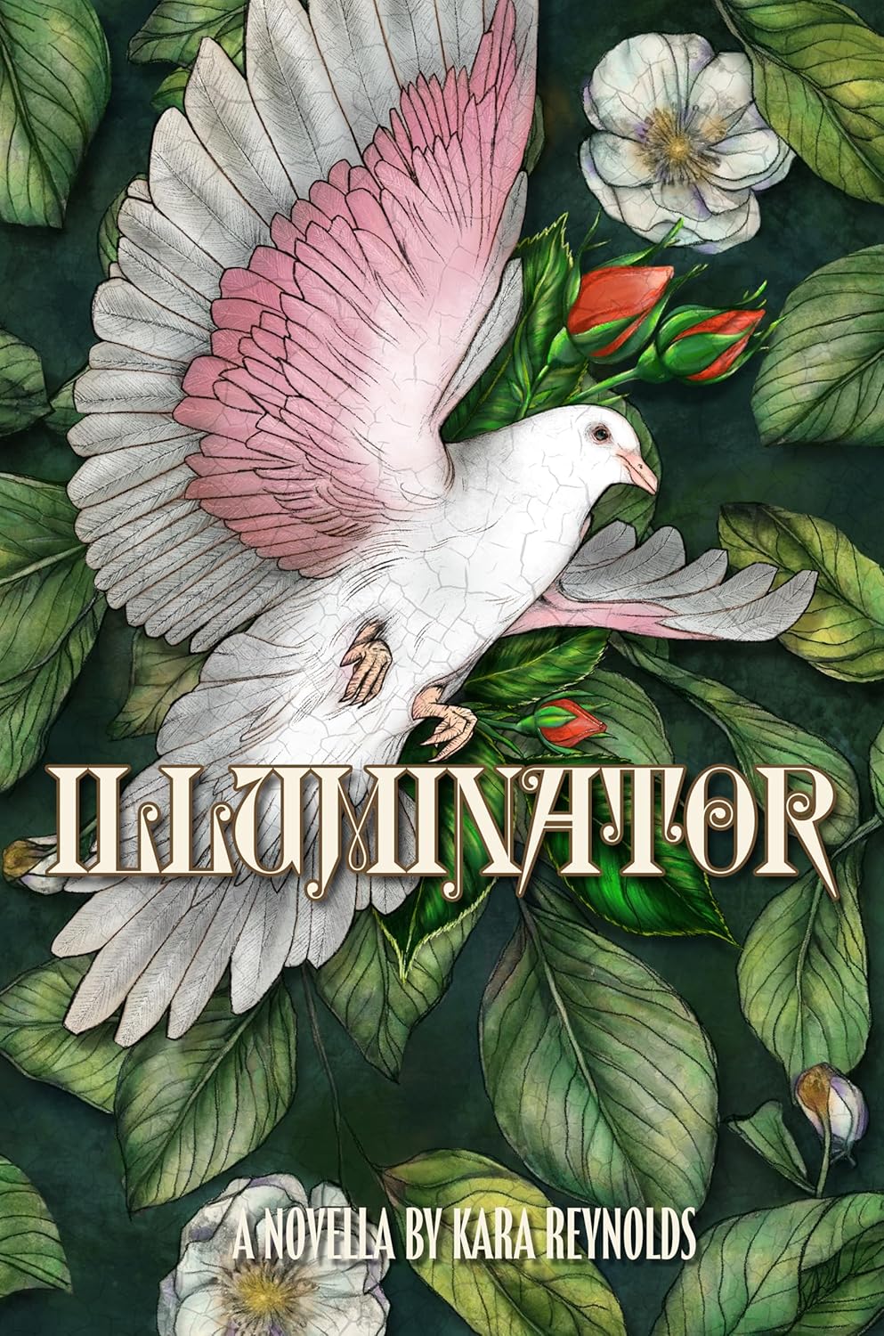 Illuminator (Gods of Tintar Novella) by Kara Reynolds