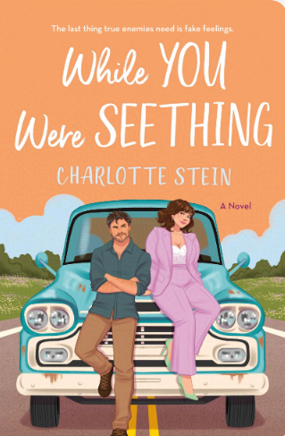 While You Were Seething by Charlotte Stein