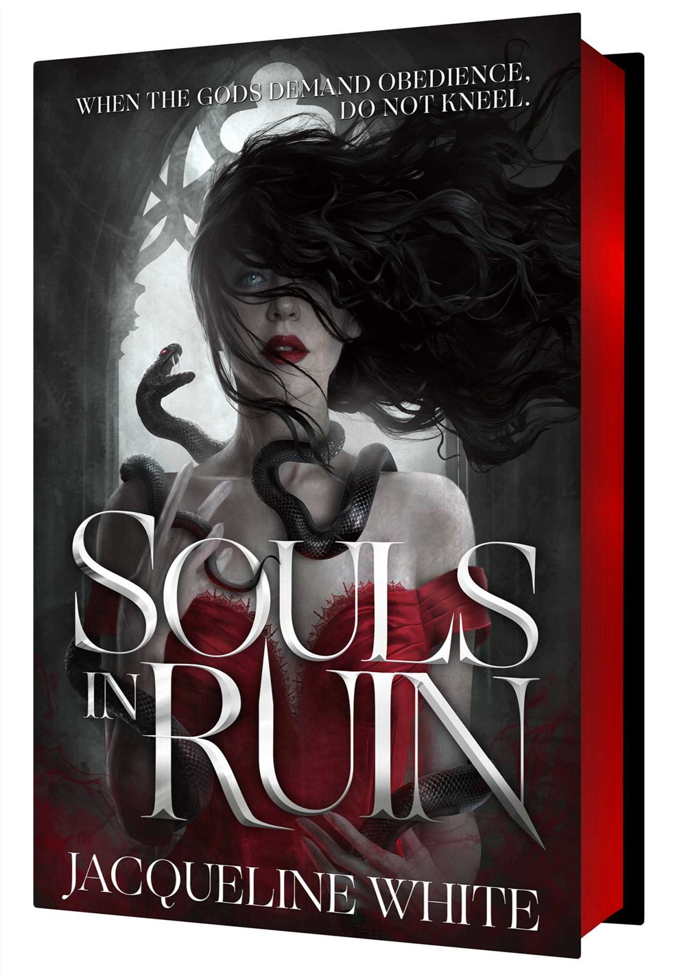 Souls in Ruin by Jacqueline White