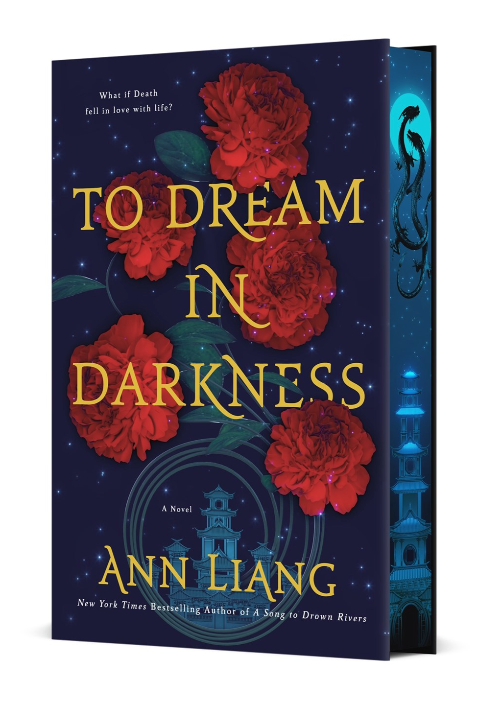 To Dream in Darkness by Ann Liang