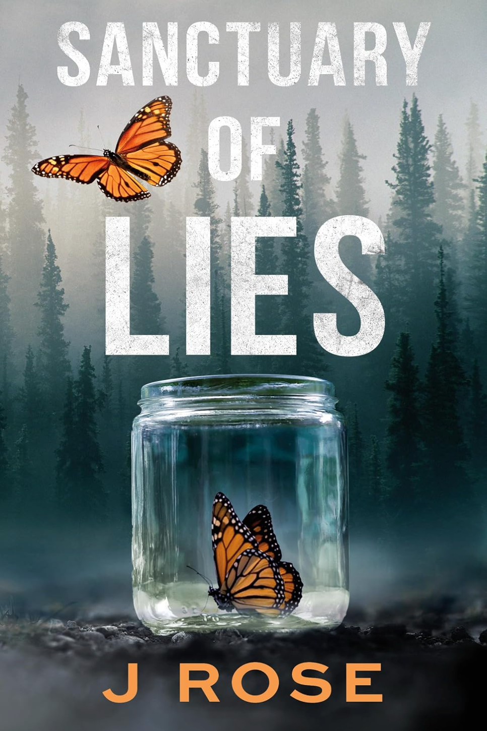 Sanctuary of Lies by J Rose
