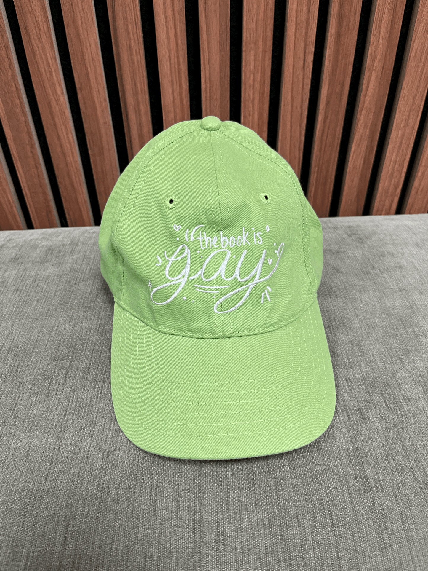 The Book is Gay hat