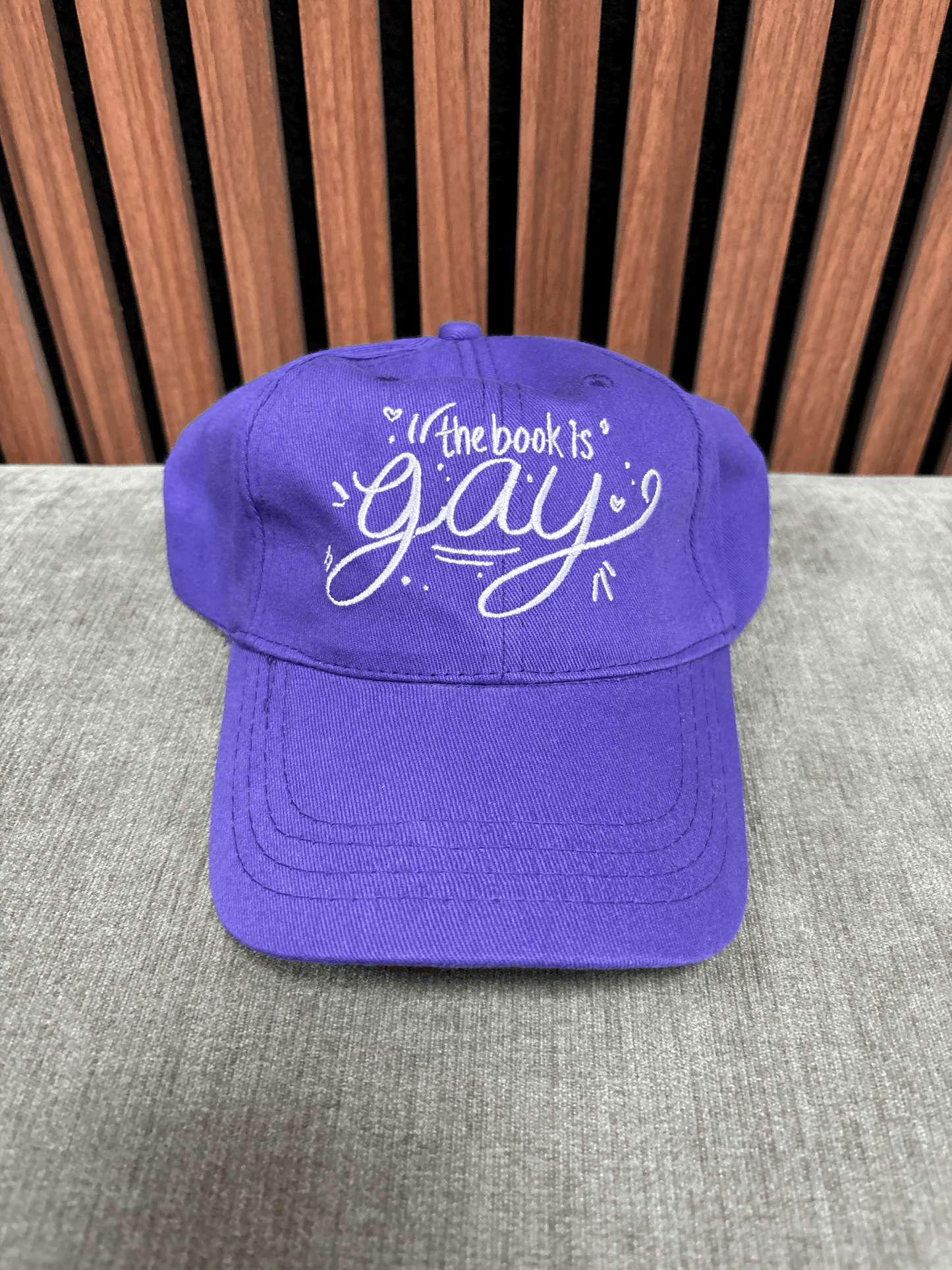 The Book is Gay hat