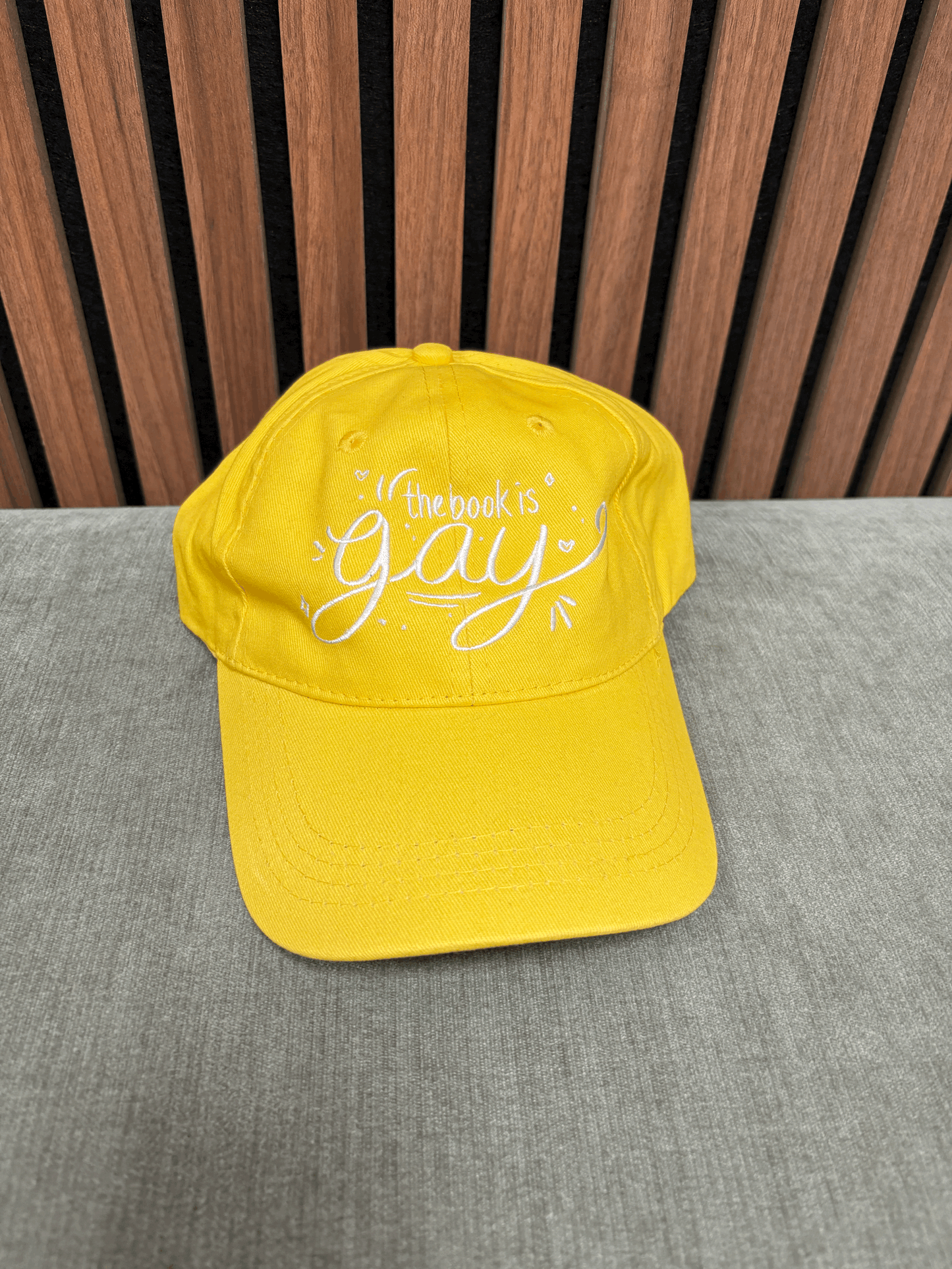 The Book is Gay hat