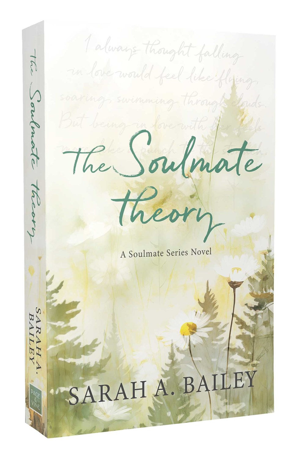 The Soulmate Theory by Sarah A Bailey