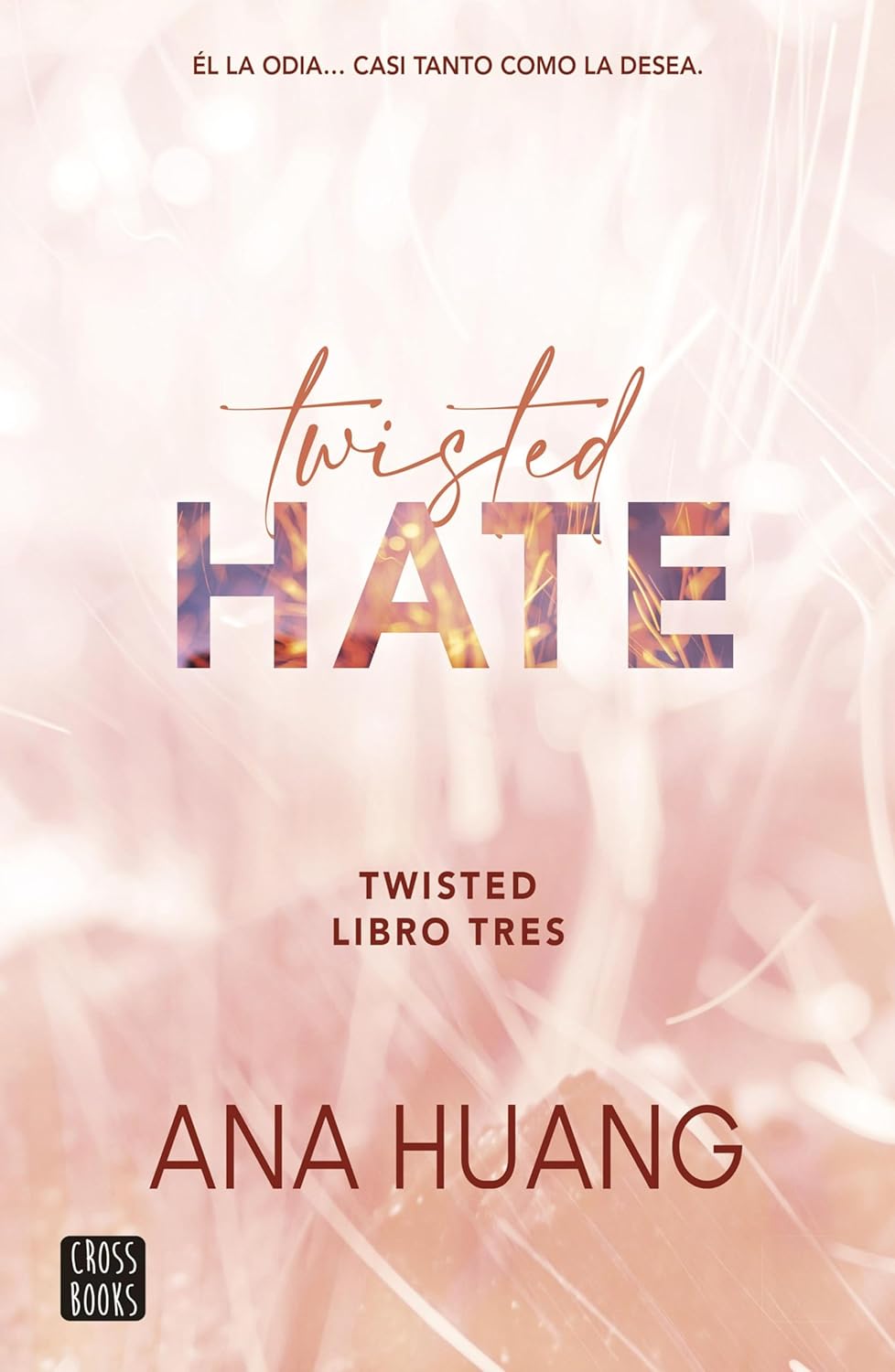 Twisted Hate (En Español) by Ana Huang
