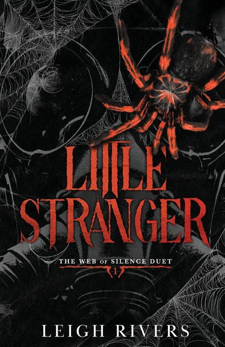Little Stranger (The Web of Silence, 1) by Leigh Rivers