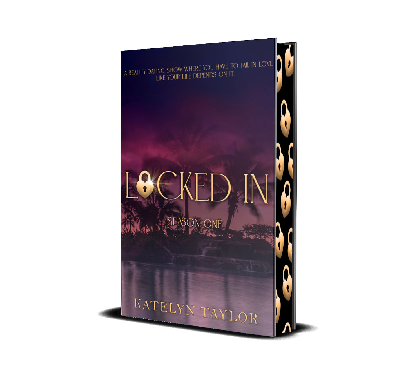 Locked In by Katelyn Taylor (Pre-Order Campaign)