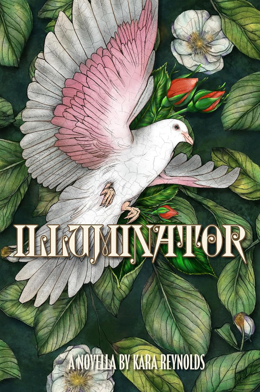 Illuminator (Gods of Tintar Novella) by Kara Reynolds