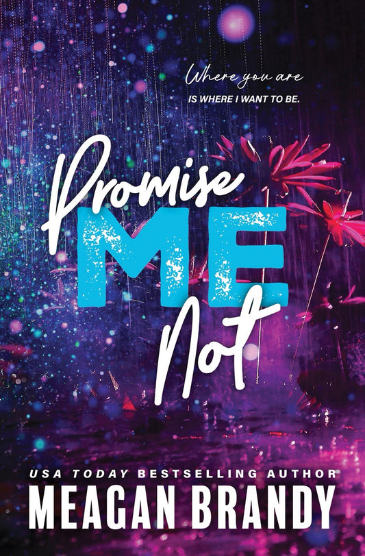 Promise Me Not by Meagan Brandy