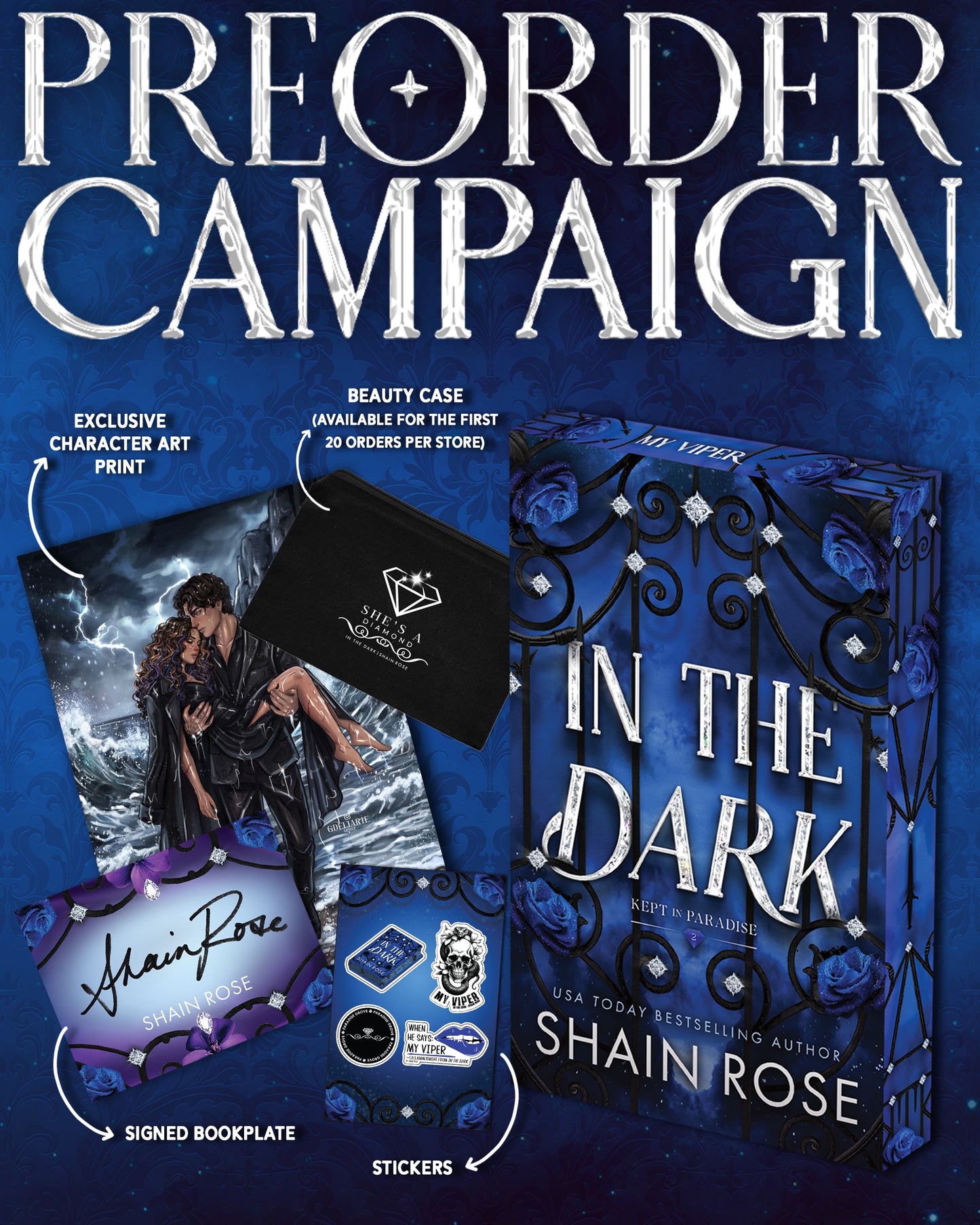 In the Dark by Shain Rose (Pre-order Campaign)