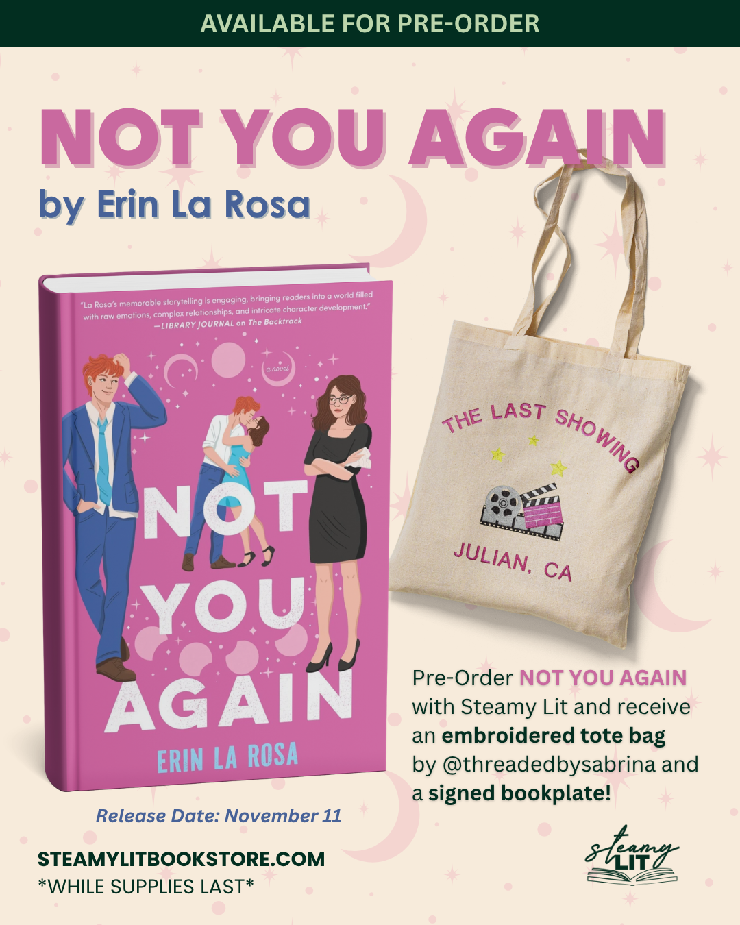 Not You Again by Erin La Rosa
