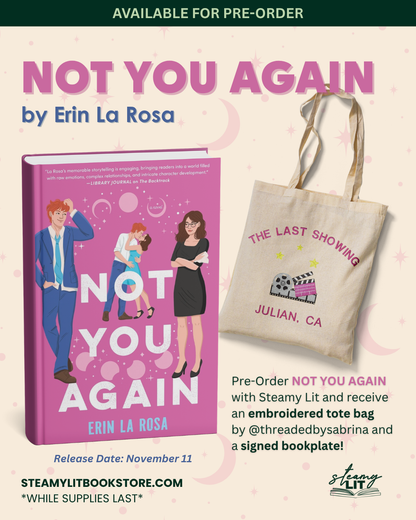 Not You Again by Erin La Rosa