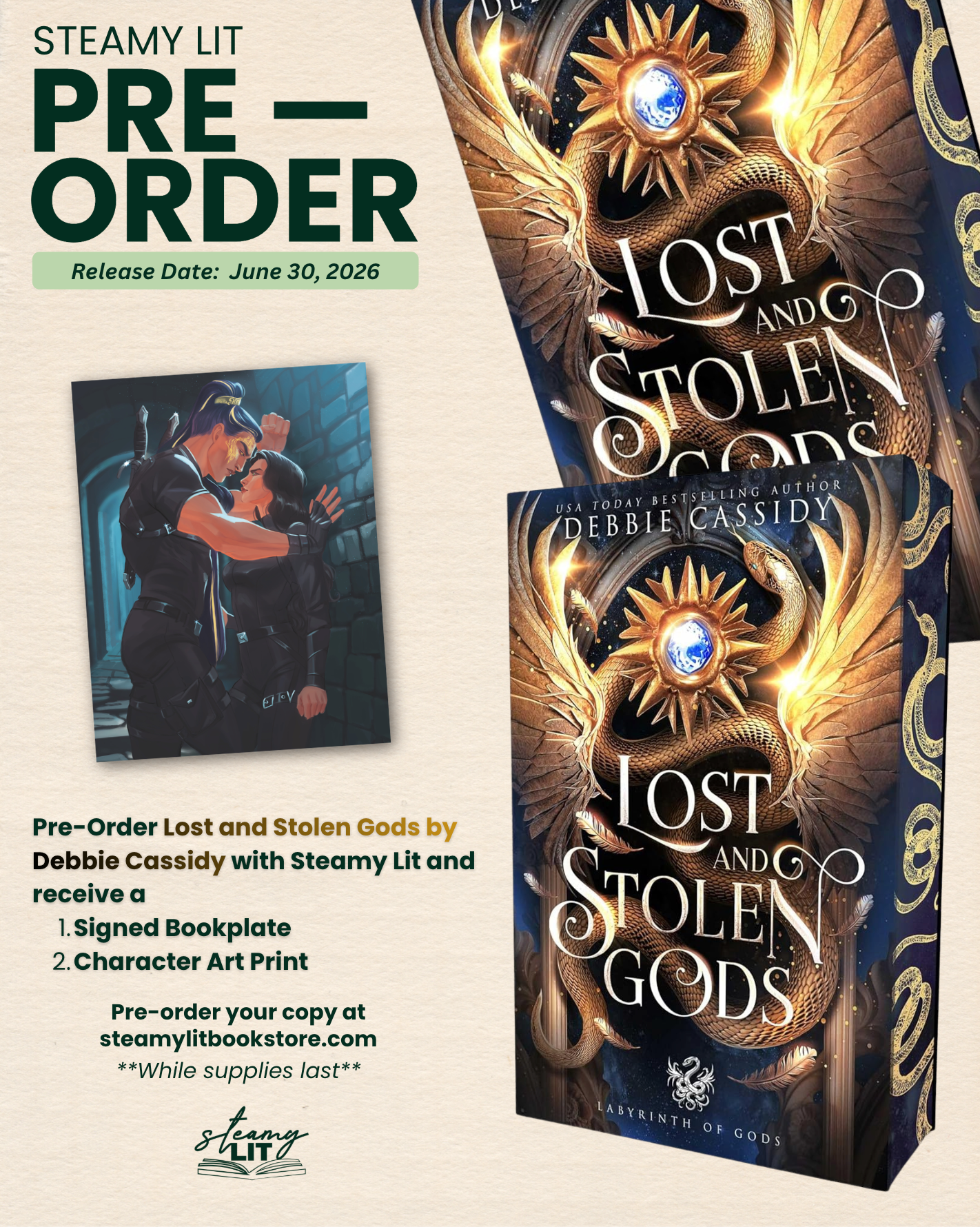Lost and Stolen Gods by Debbie Cassidy (Pre-Order Campaign)