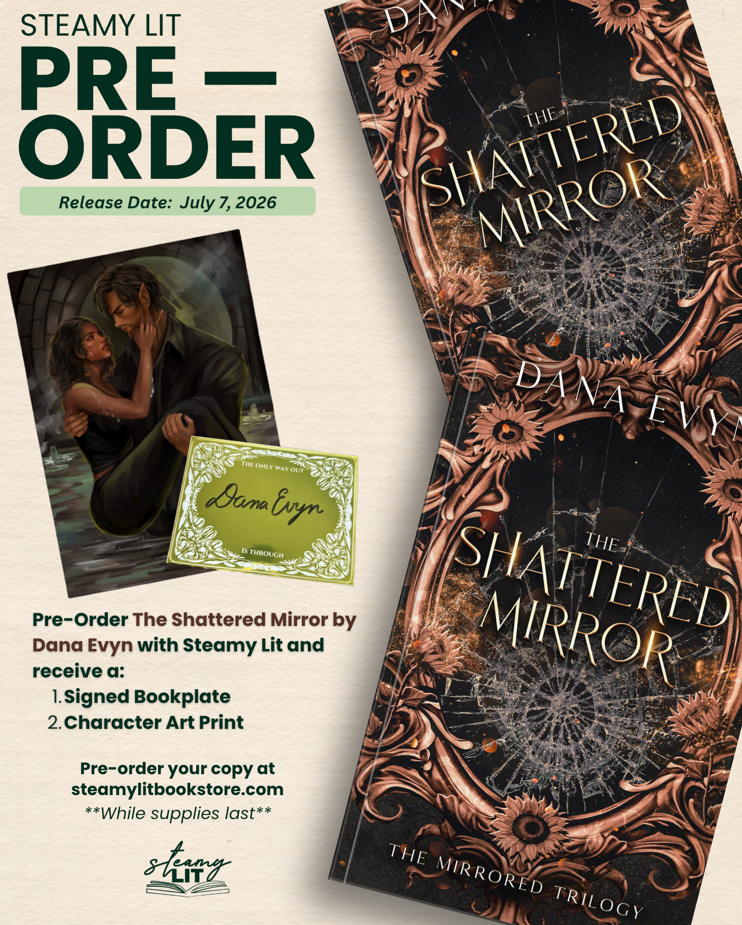 The Shattered Mirror by Dana Evyn (Pre-Order Campaign)