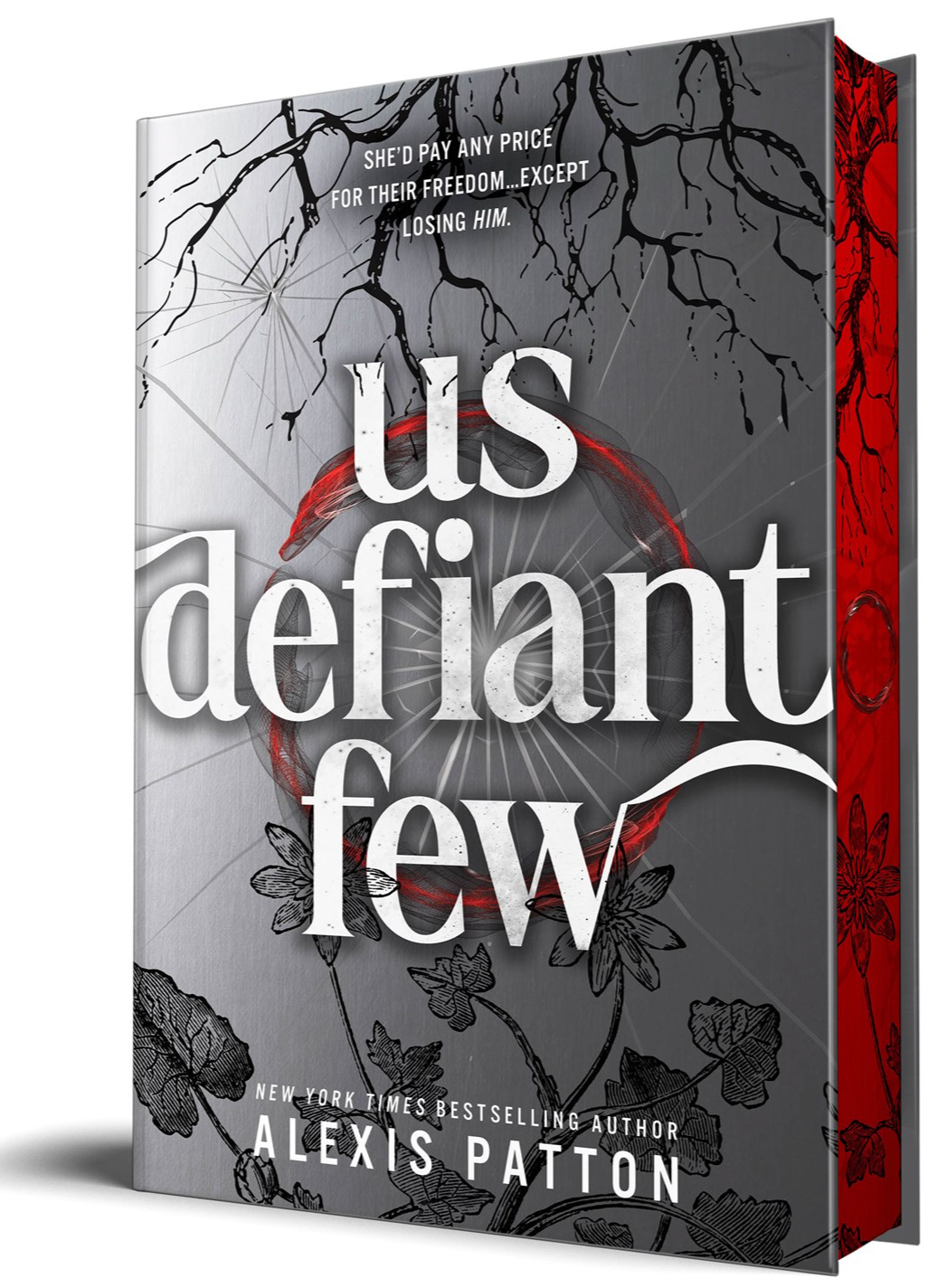 Us Defiant Few by Alexis Patton