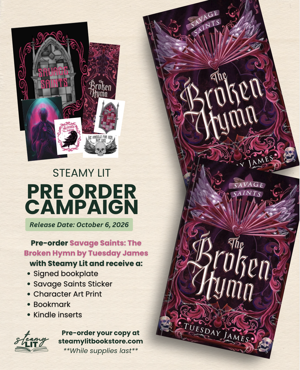 Savage Saints: The Broken Hymn by Tuesday James (Pre-Order Campaign)