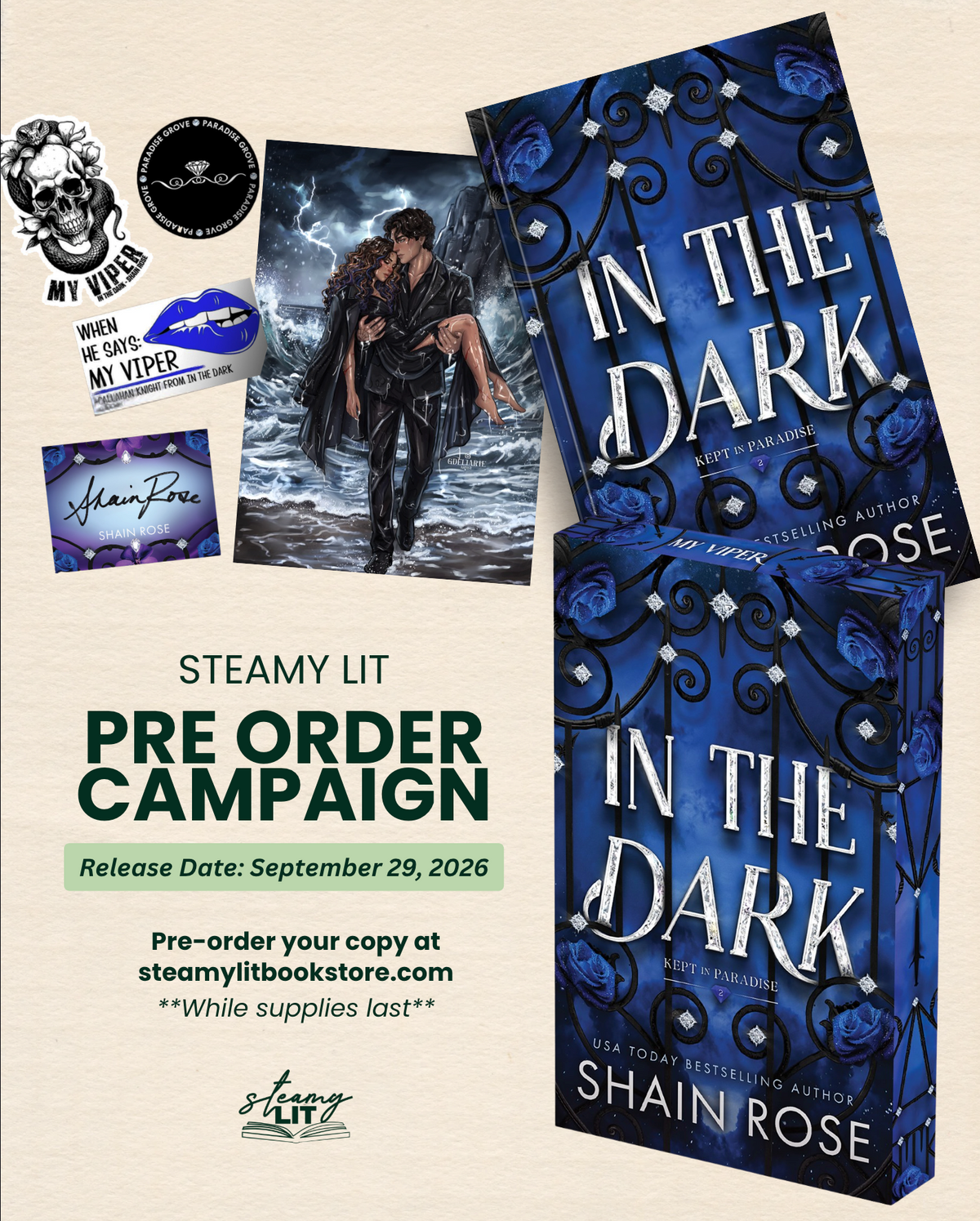 In the Dark by Shain Rose (Pre-order Campaign)