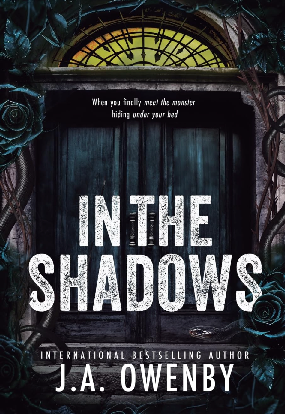 In the Shadows by J.A. Owenby