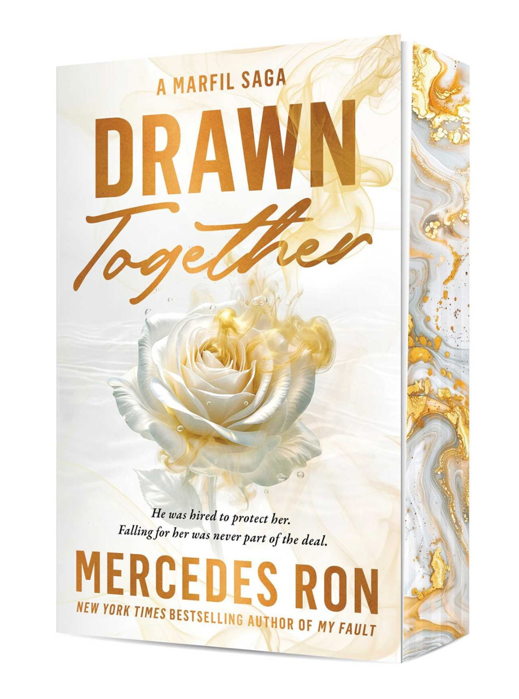 Drawn Together by Mercedes Ron