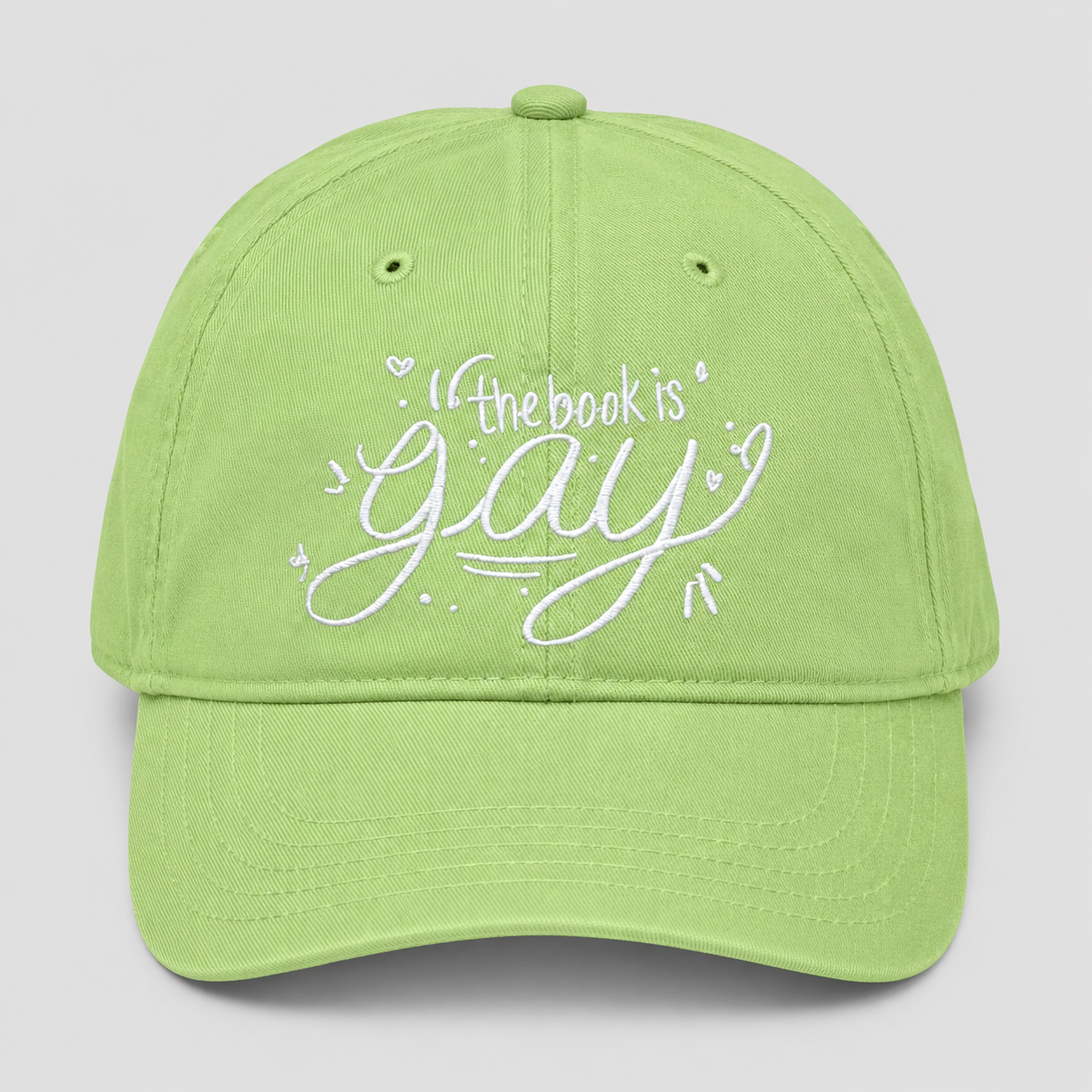The Book is Gay hat