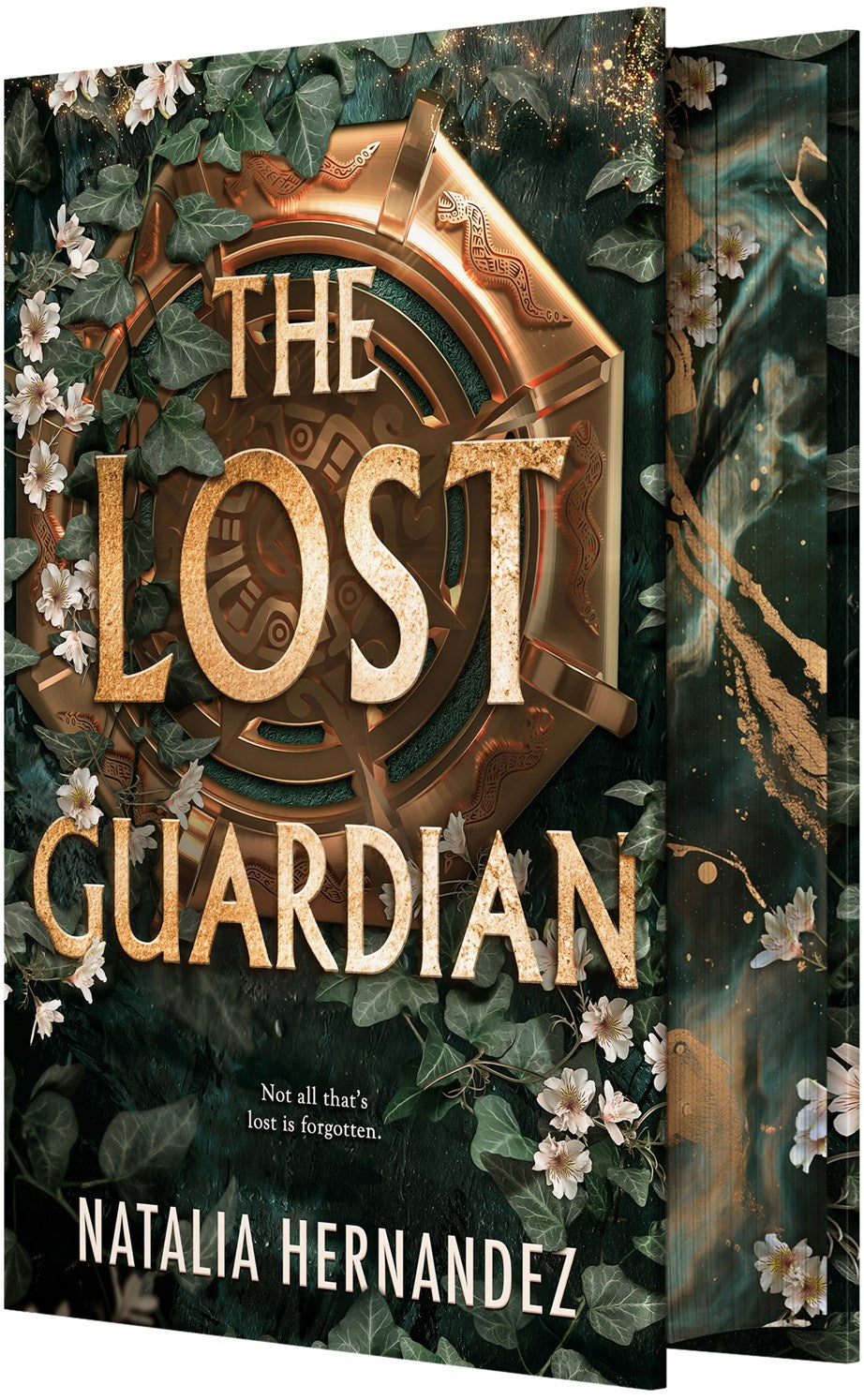 The Lost Guardian by Natalia Hernandez