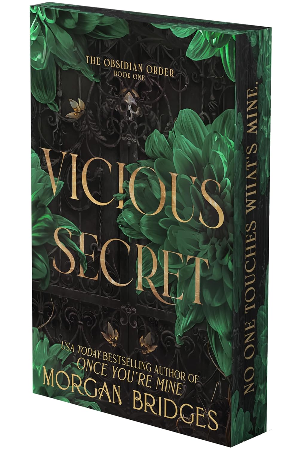 Vicious Secret by Morgan Bridges